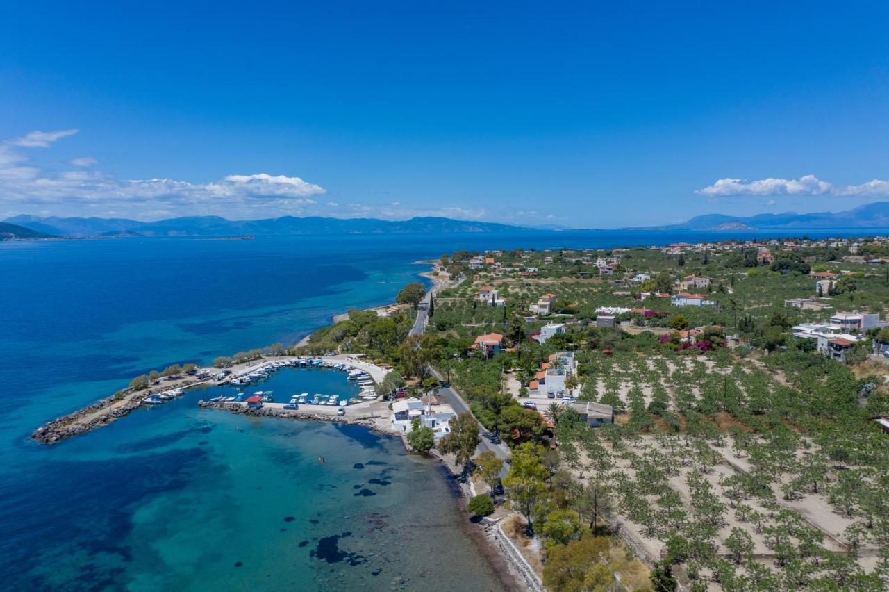 Stefanie Studios Aegina 외부 사진